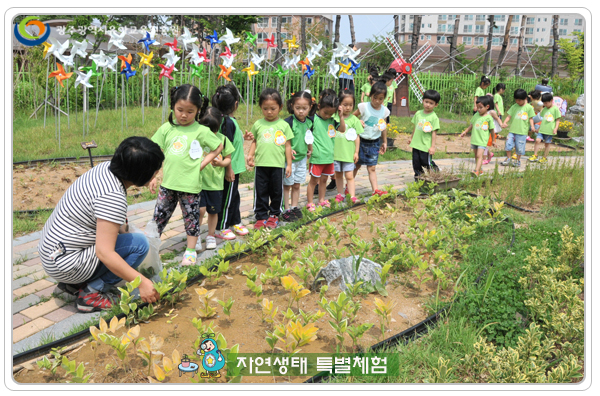 자연생태7 사본.jpg